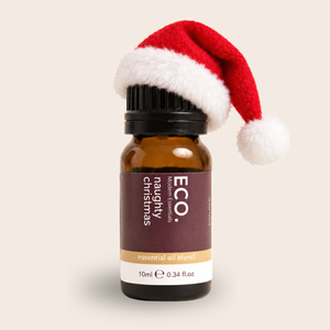 Christmas Gift Guide