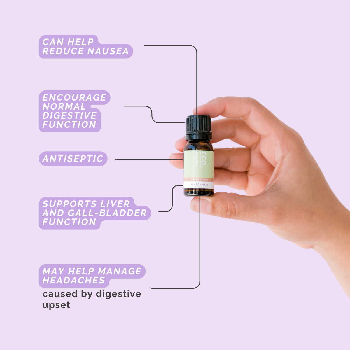 Digestive Essential Oil Blend - Benefits