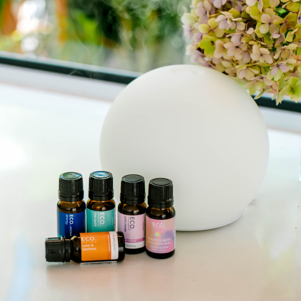 Eclipse Alignment Bundle