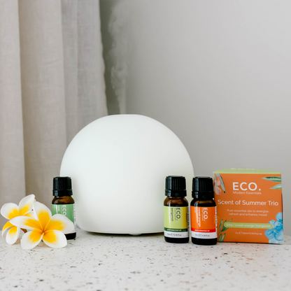 Eclipse Diffuser + Scents of Summer Trio