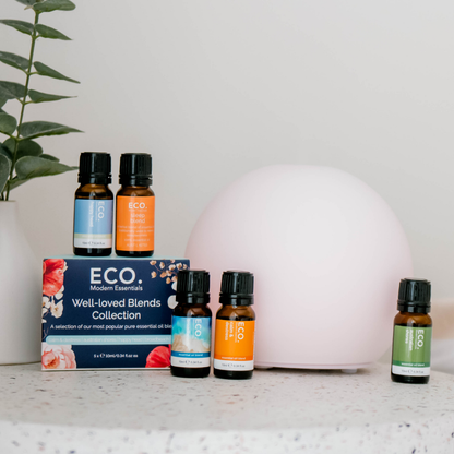 Eclipse Diffuser + Well-loved Blends