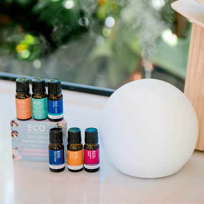 Eclipse Diffuser + Best Selling Blends