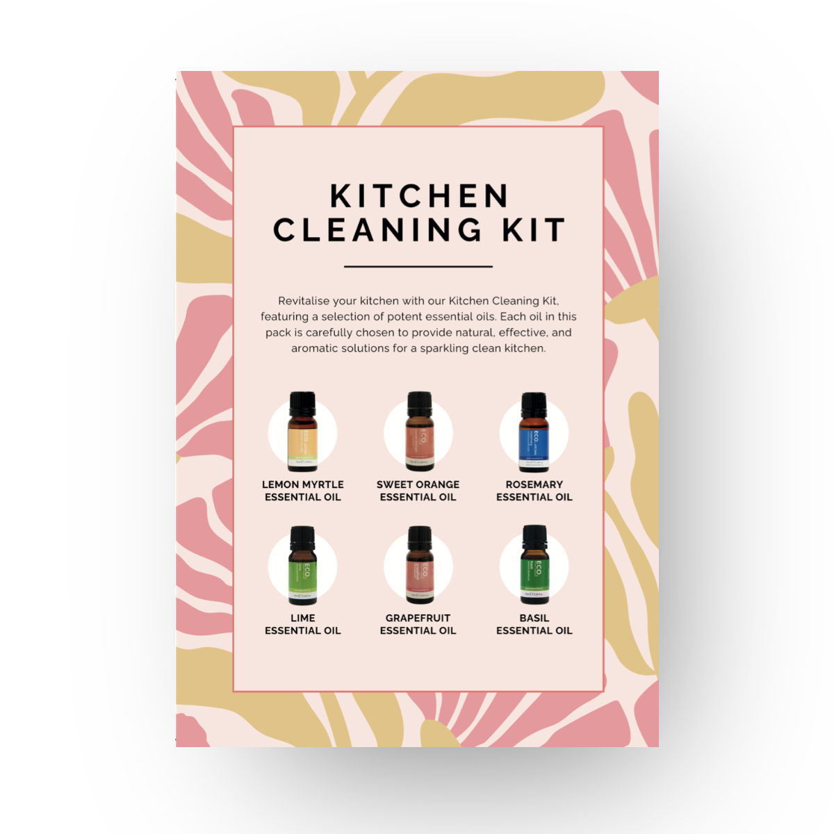 Kitchen Cleaning Kit Postcard