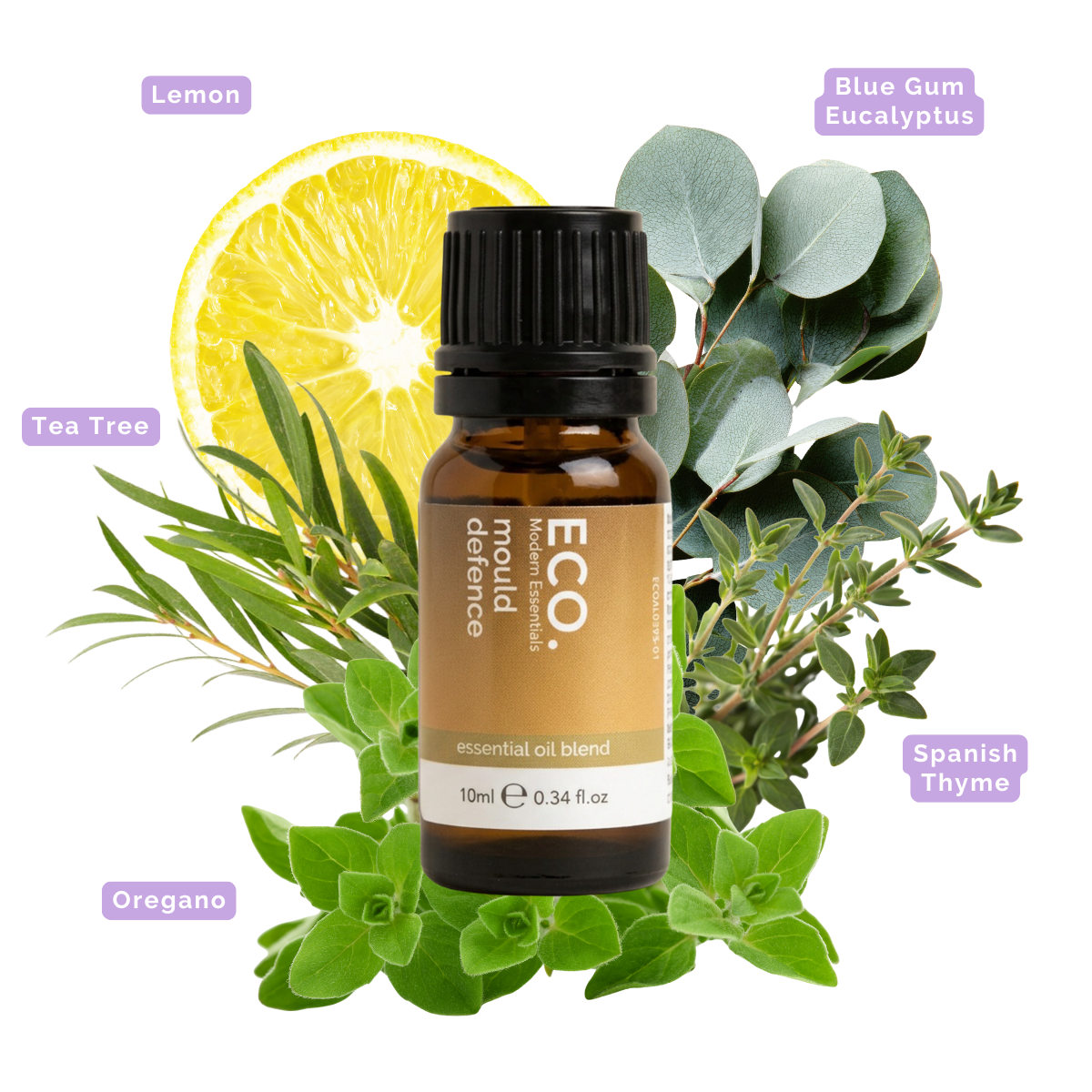 Mould Defence Essential Oil Blend