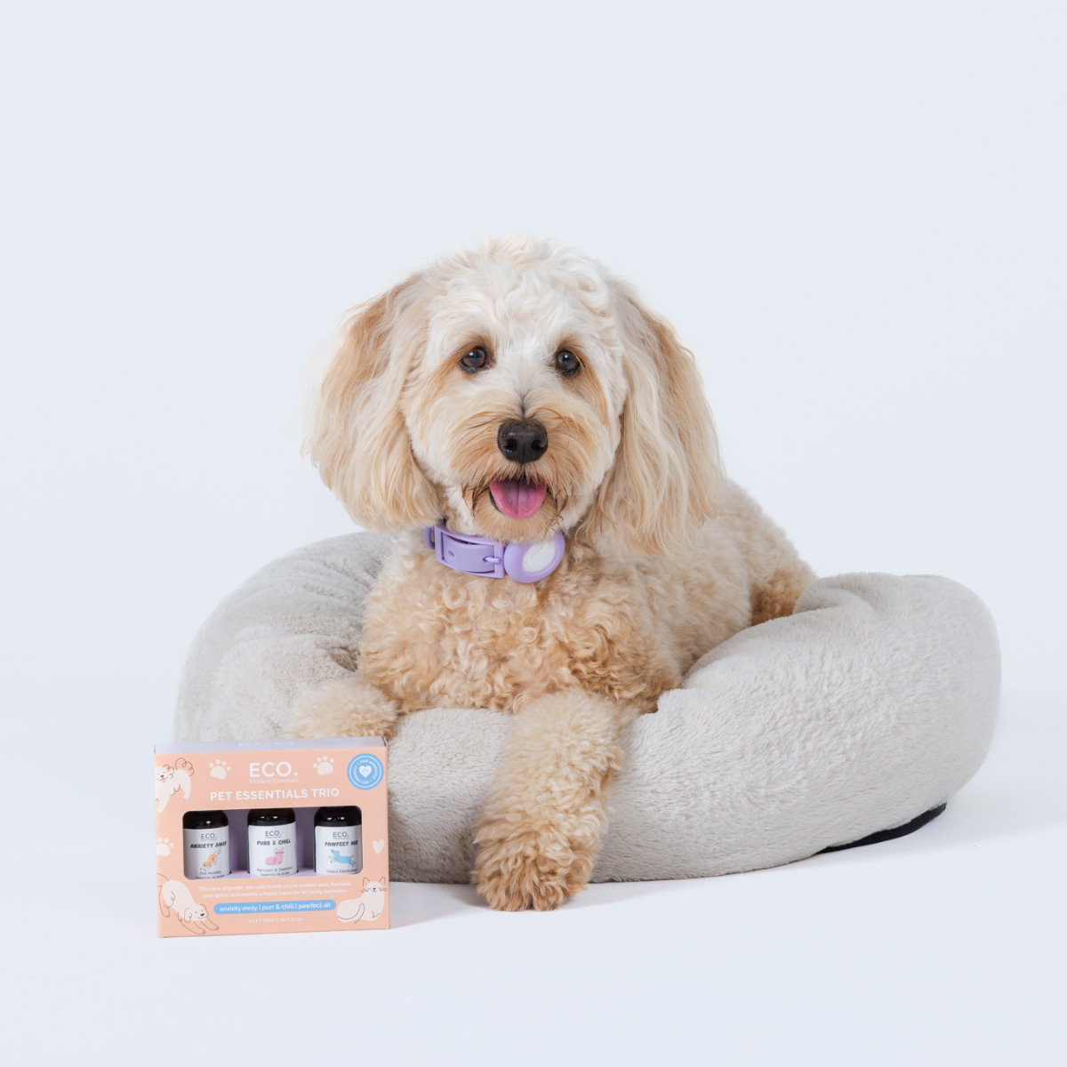 Pet Essentials Trio