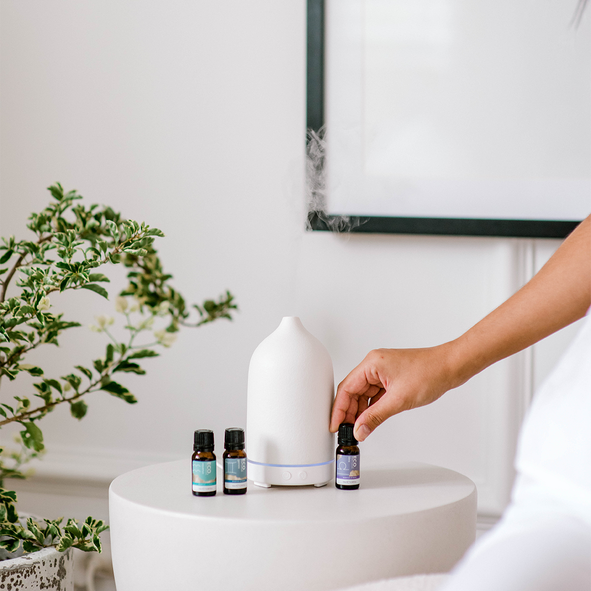 Air Element Zodiac Essential Oil Trio