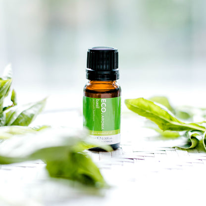 Basil aromatherapy pure oil bottle 