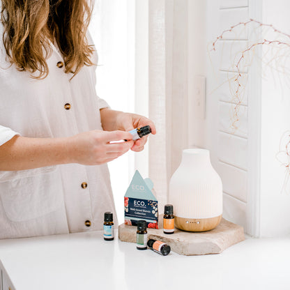 Coastal Diffuser & Well-loved Blends Collection