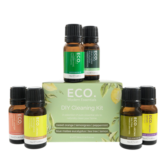 DIY Cleaning Kit