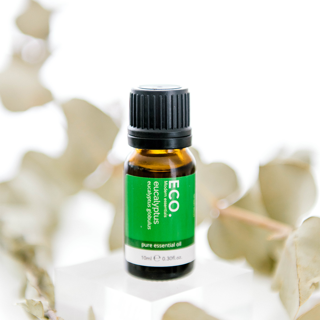 Eucalyptus essential oil bottle with dried eucalyptus in the background