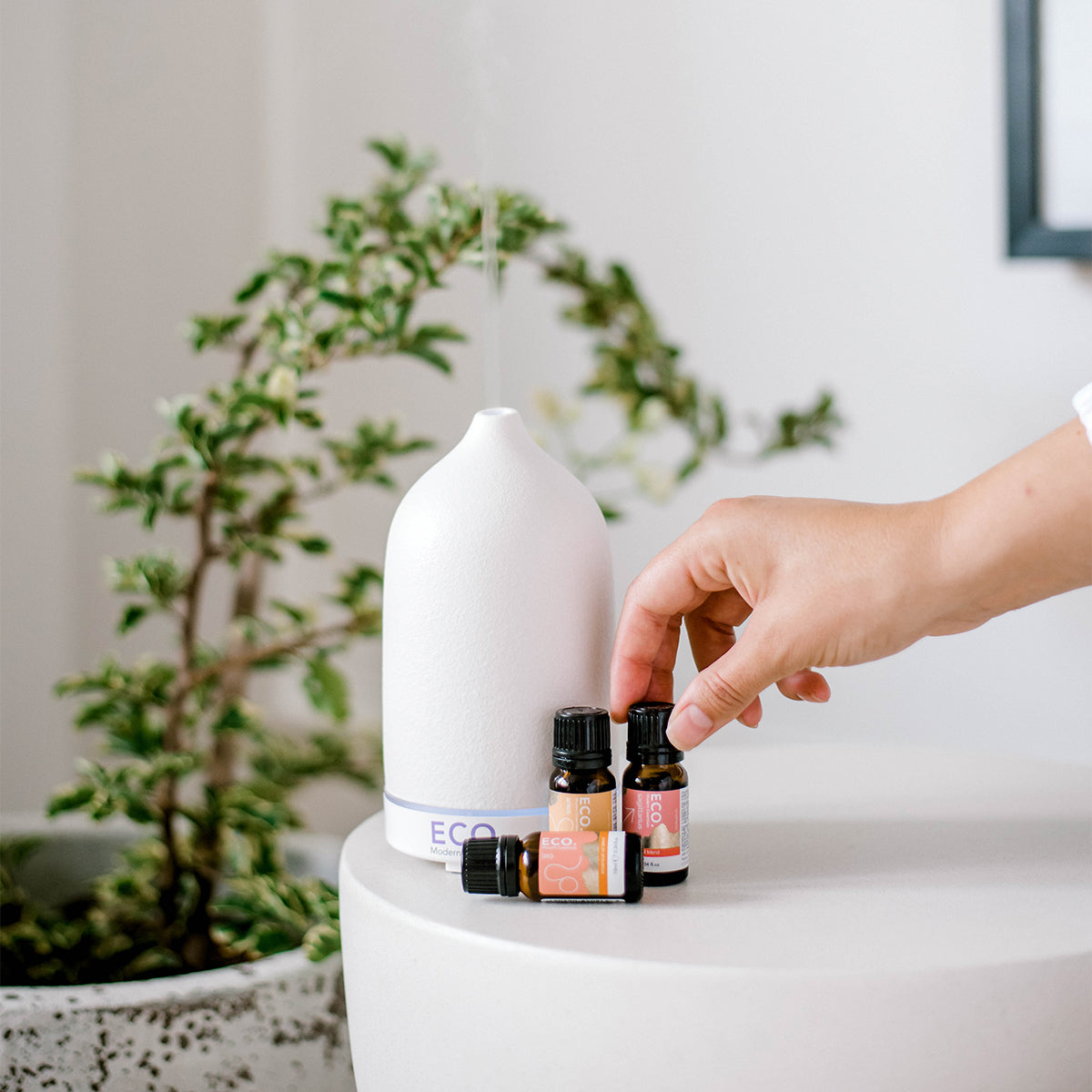 Fire Element Zodiac Essential Oil Trio
