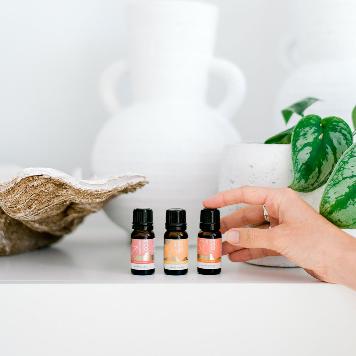 Fire Element Zodiac Essential Oil Trio