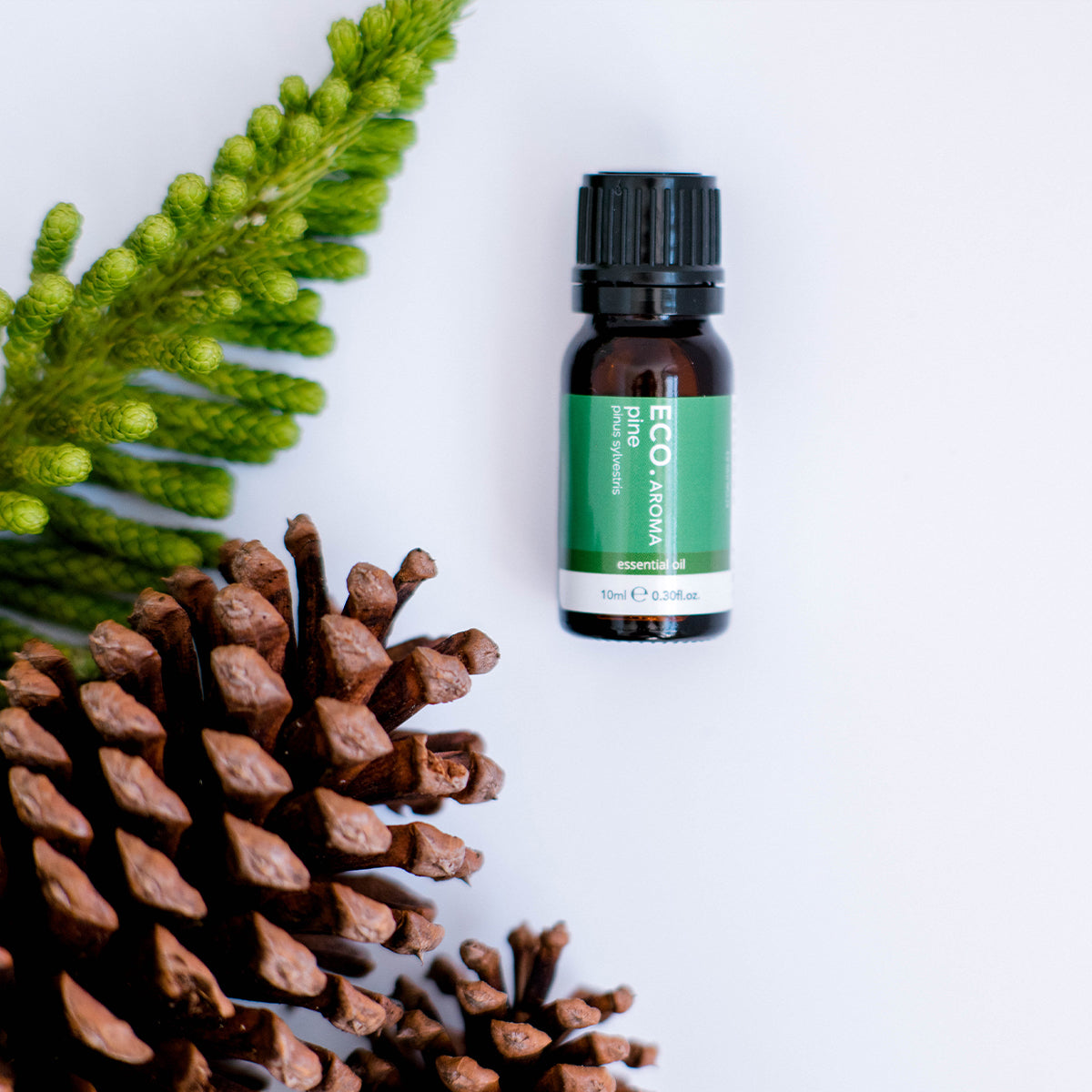 Pine Pure Essential Oil