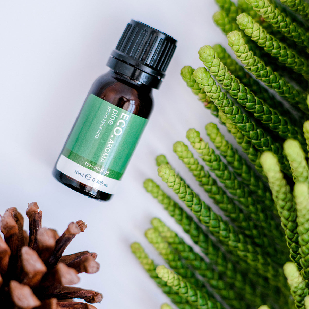 Pine Pure Essential Oil